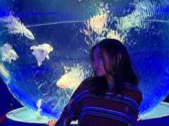 -石家庄极地海洋世界