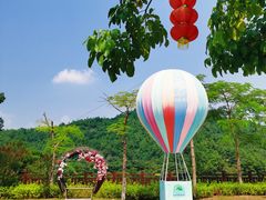 -广州白江湖森林公园