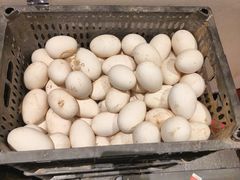 -单家老院·院子里的青岛菜(沙子口店)