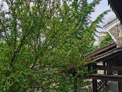 -阳明祠