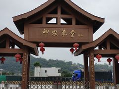 -广州神农草堂中医药博物馆