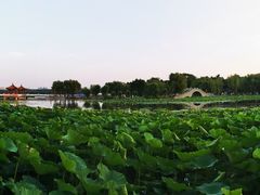 -长春市南湖公园