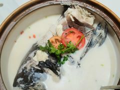 千岛湖浓汤鱼头-全乐鱼馆·淳牌有机鱼直营店