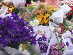 -沪花拾者(好再来花卉鲜花店)