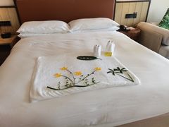 -三亚亚龙湾万豪度假酒店