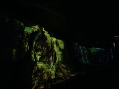 -乐山乌木文化博览苑