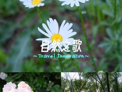 -洨河生态公园