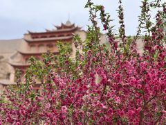 -敦煌莫高窟