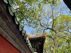 -北京国子监胡同