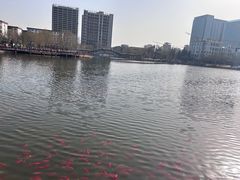 -西海子公园