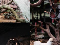 -正佳雨林生态植物园