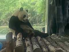 -宁波野生动物园