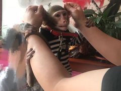 -盤古Spa泰式古法抓龙筋(鲁迅路店)