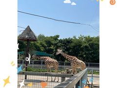 -上方山森林动物世界