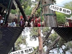 -晋祠公园