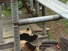 -大连森林动物园