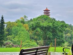 -深圳仙湖植物园