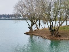 -贡湖湾湿地公园