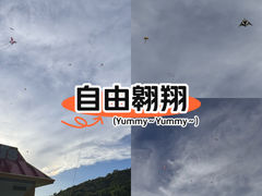 -莲花山公园