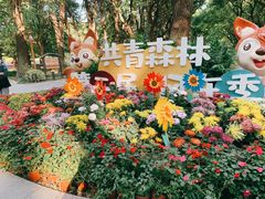 -上海共青森林公园