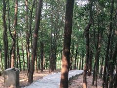 -滴水岩森林公园