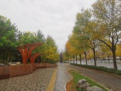 -元大都城垣遗址公园