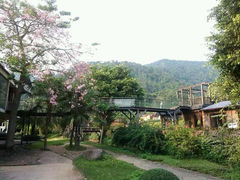 android_upload_pic-德庆盘龙峡生态旅游区