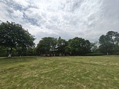 -宜兴龙背山森林公园