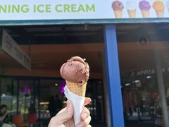 -Dooley's Premium Ice Cream