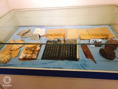 -上海昆虫博物馆