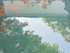 -墨池公园