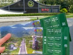 -南丹山森林王国
