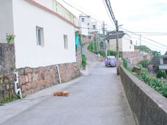 -枸杞岛