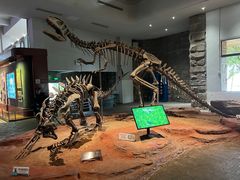 -自贡恐龙博物馆