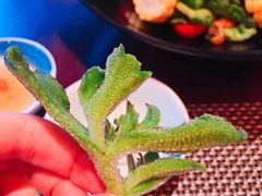 -杭州西子湖四季酒店-WL BISTRO西湖餐厅(灵隐路店)