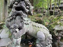 -天一阁博物院