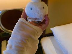 -上海雅居乐万豪侯爵酒店