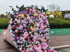 -苏州太湖西山岛开心农场