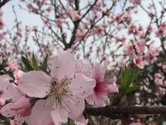 -东南大学(九龙湖校区)