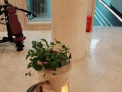 -一兆韦德(万源城店)
