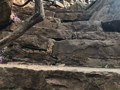 -普者黑风景区-青龙山