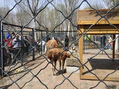 -长白岛森林公园