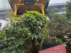-泸州老窖景区