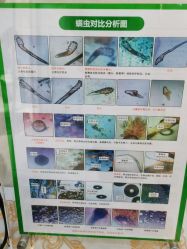 -痘院长·祛痘修护·皮肤管理