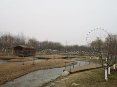 -西安浐灞国家湿地公园
