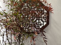 -山外山·林语花园餐厅