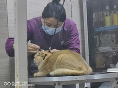 -宠颐生斯嘉宠物医院·急重症·心内科(谷阳北路分院)