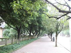 -四川农业大学(雅安校区)