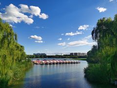 -大兴滨河森林公园