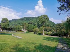 -桃花岭景区